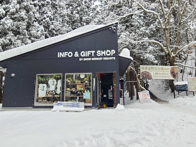 photo by author (247477)