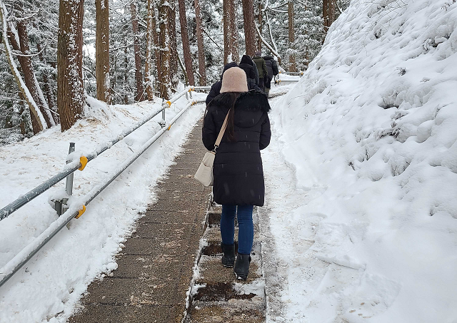 photo by author (247478)