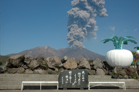 旅の駅桜島 桜島物産館 (260146)