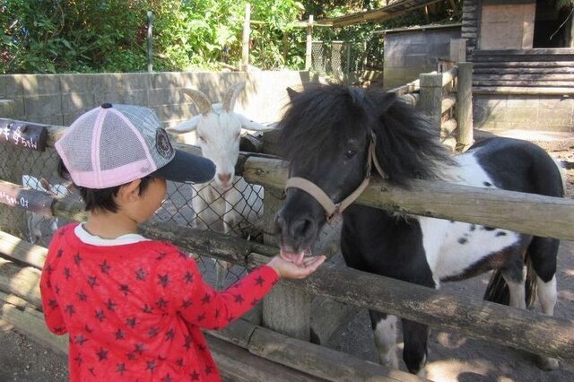 長崎鼻パーキングガーデン (260180)