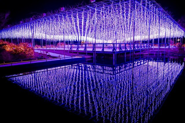 photo by PIXTA (261585)