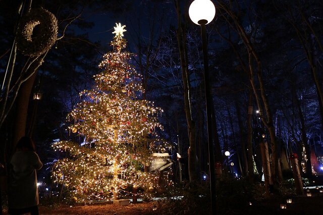 photo by PIXTA (261588)