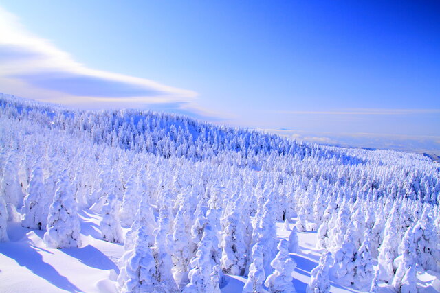 photo by PIXTA (262093)