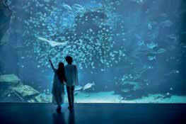 画像提供:Xpark (262464)