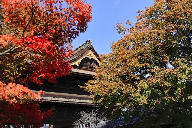写真提供:善光寺 (262577)