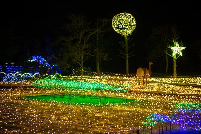 photo by PIXTA (262854)