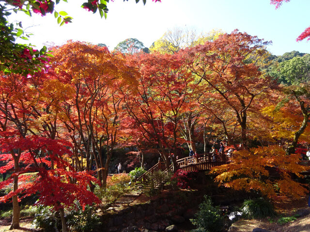 (C)熱海市観光協会