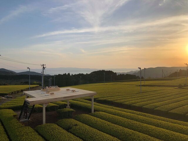 写真提供:副島園 (263113)