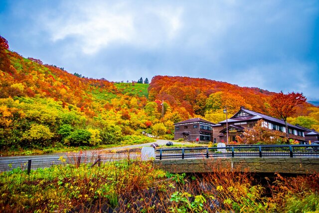 photo by PIXTA (264507)