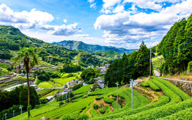 photo by PIXTA (264660)