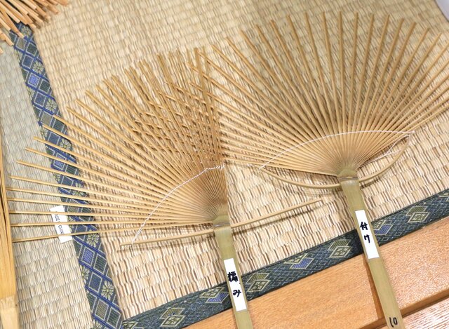 photo by author (265424)