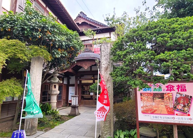 photo by author (265431)