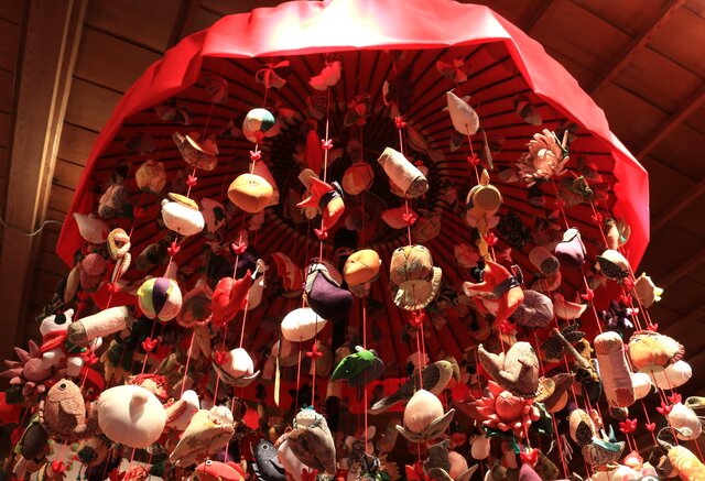 photo by author (265441)