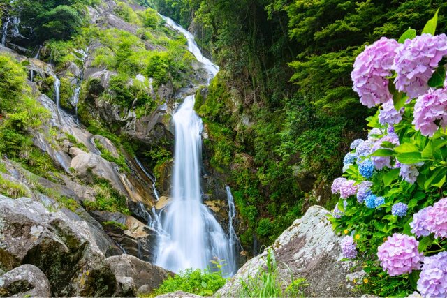 photo by PIXTA (265596)