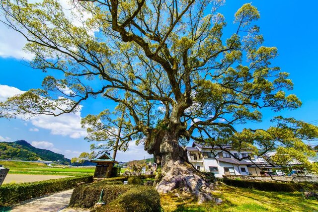 photo by PIXTA (265600)