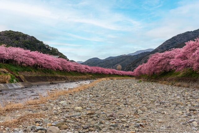 photo by PIXTA (265955)