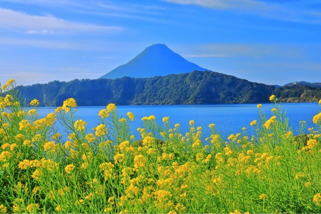 photo by PIXTA (265965)