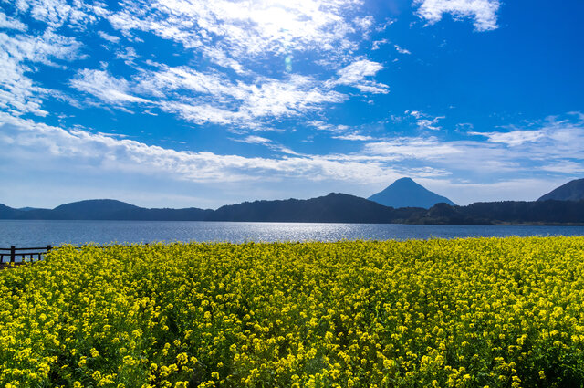 Photo by PIXTA (266024)