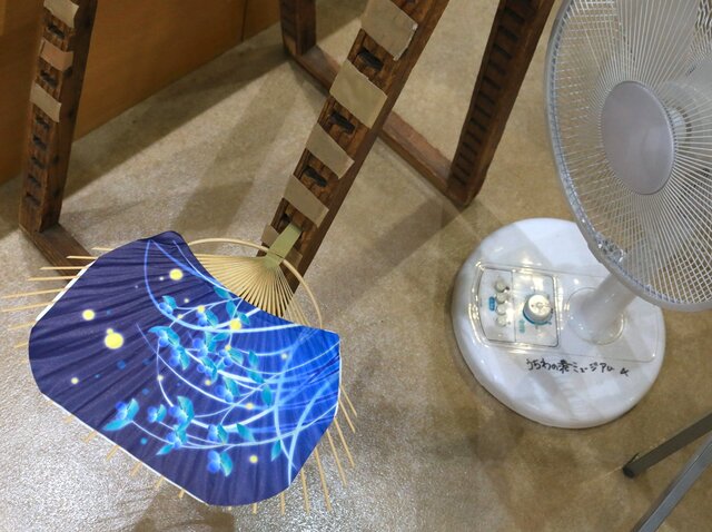 photo by author (267763)