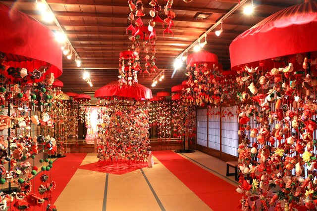 photo by author (268333)