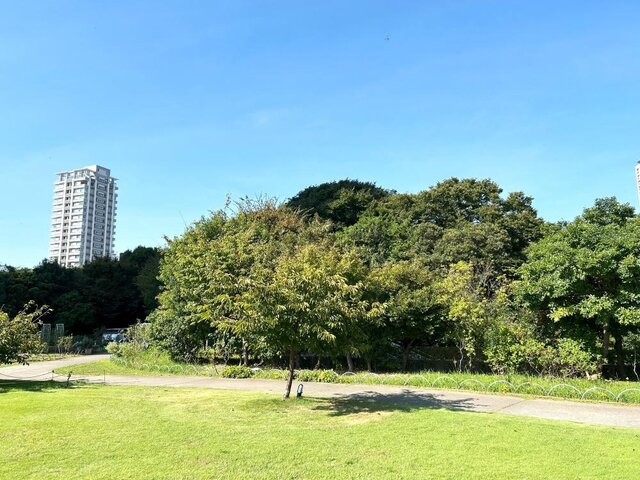 photo by PIXTA (268590)