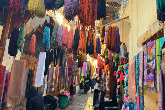 Photo by author (269605)