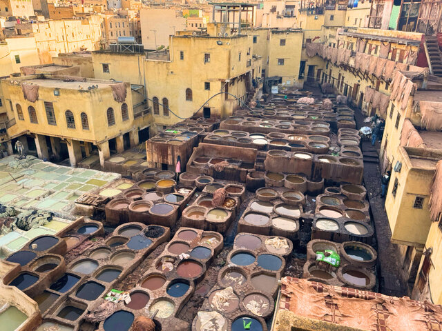 Photo by author (269607)