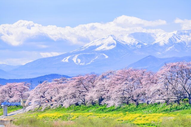 photo by PIXTA (269846)