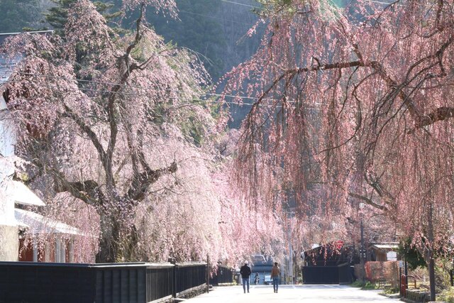 photo by PIXTA (269849)