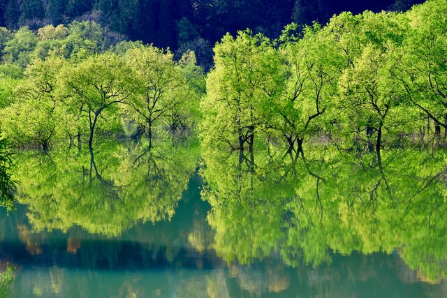 photo by PIXTA (269851)