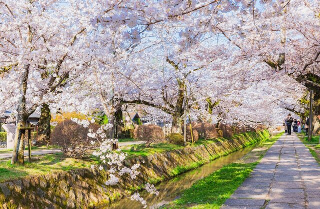 photo by PIXTA (269910)