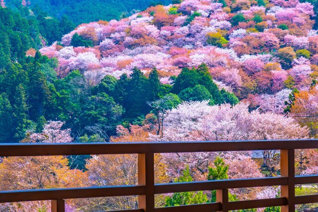 photo by PIXTA (269911)