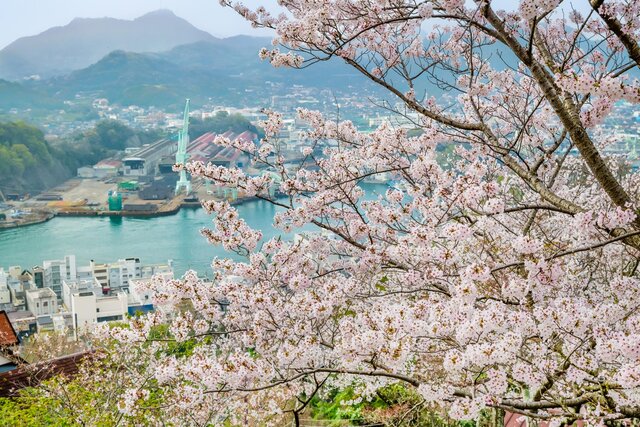 photo by PIXTA (269912)