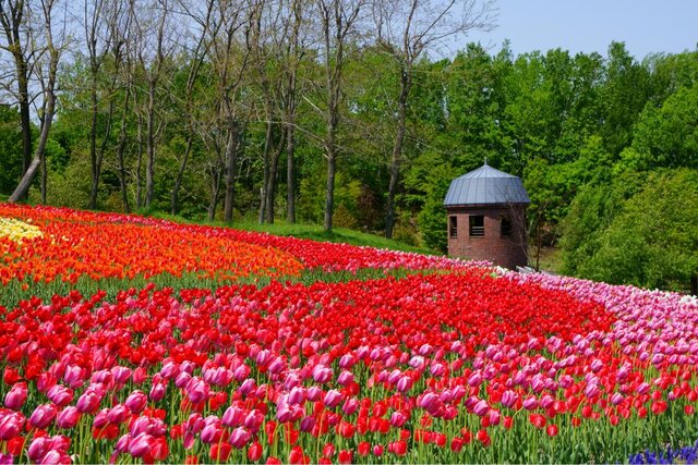 photo by PIXTA (270126)