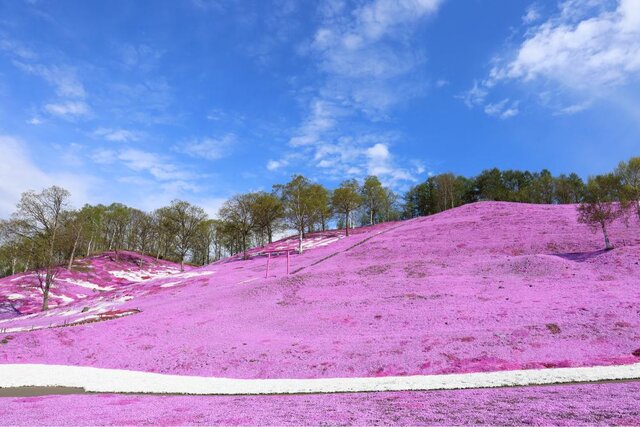 photo by PIXTA (270127)