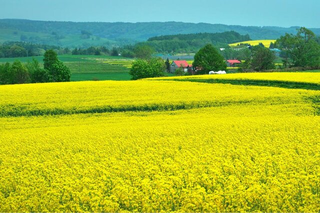 photo by PIXTA (270140)