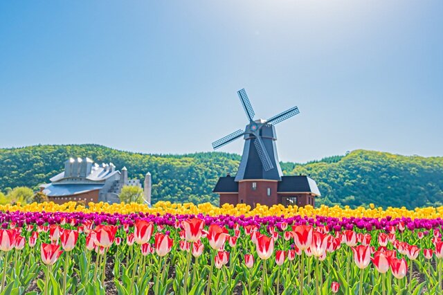 photo by PIXTA (270740)