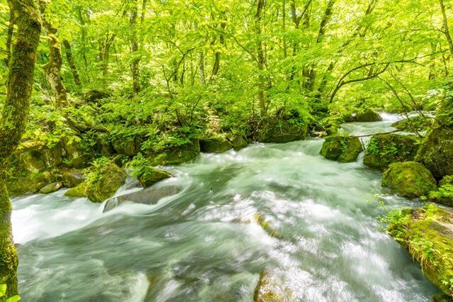 photo by PIXTA (270741)