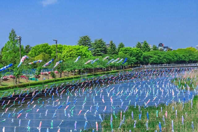 photo by PIXTA (270742)