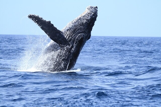 photo by PIXTA (270743)