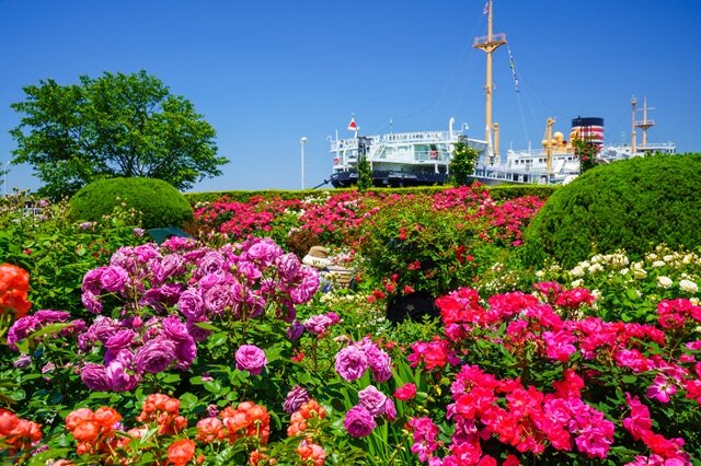 photo by PIXTA (270744)