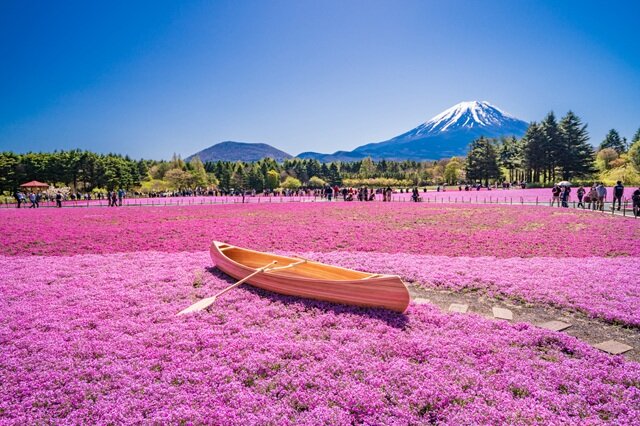 photo by PIXTA (270745)