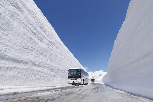 photo by PIXTA (270747)