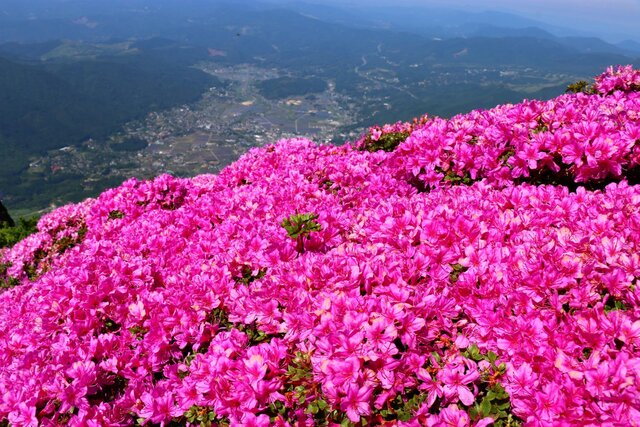 photo by PIXTA (270870)