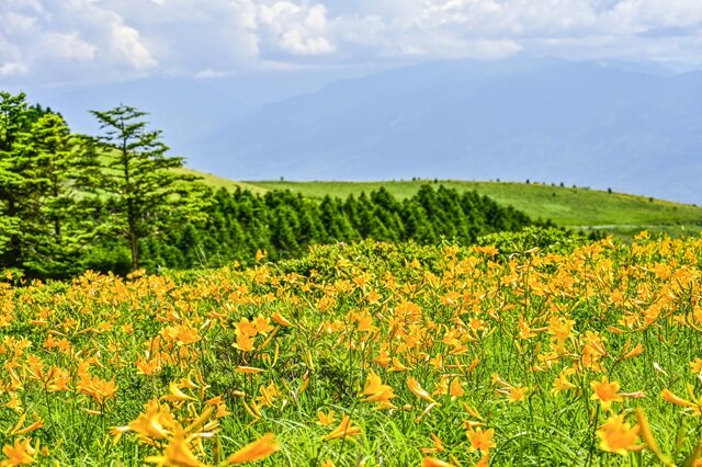 photo by PIXTA (274391)