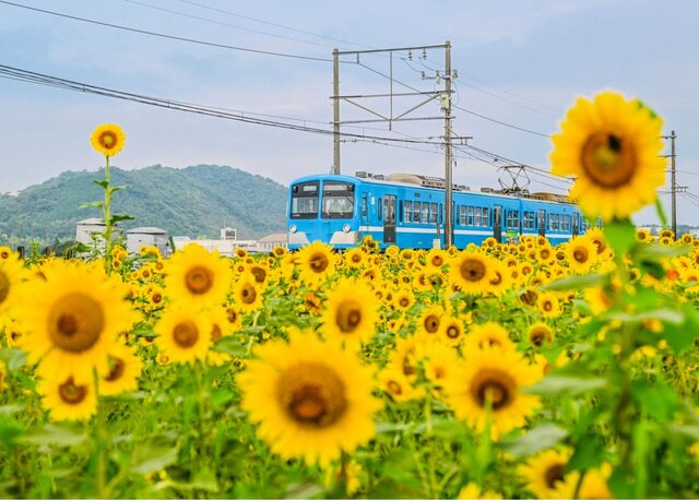 photo by PIXTA (276407)