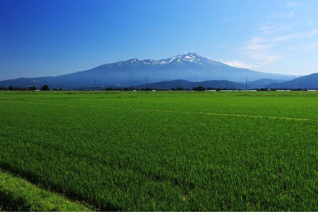 photo by PIXTA (276733)