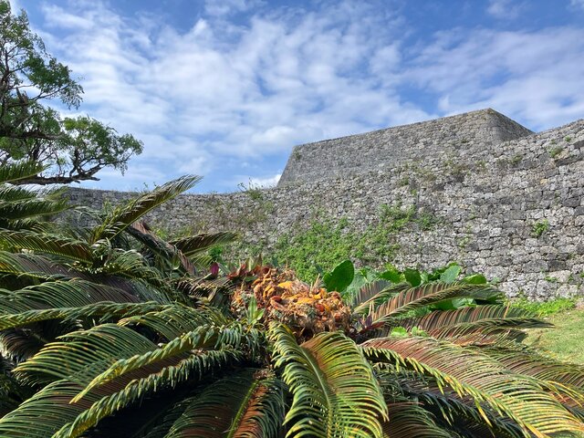 Photo by 科学技術学園高等学校の生徒 (277383)