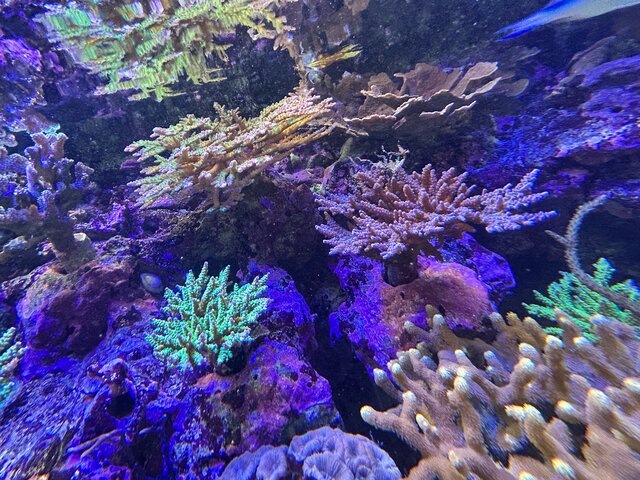 Photo by 科学技術学園高等学校の生徒 (277397)