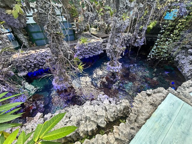 Photo by 科学技術学園高等学校の生徒 (277405)